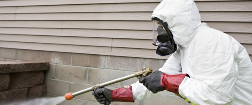 Same Day Pest Control Service blog image
