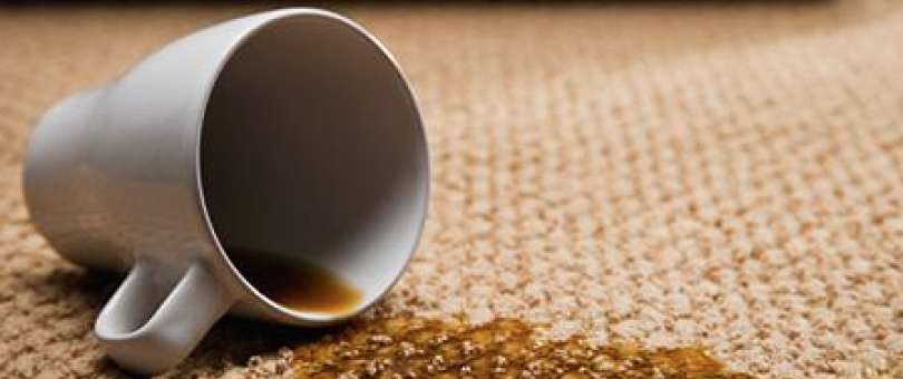 Spot Carpet Cleaning Tips From samedaypros.com blog image