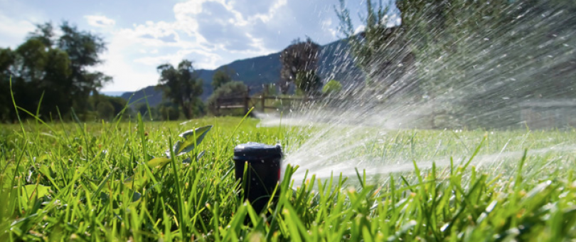 Professional Local Lawn Irrigation Estimates blog image