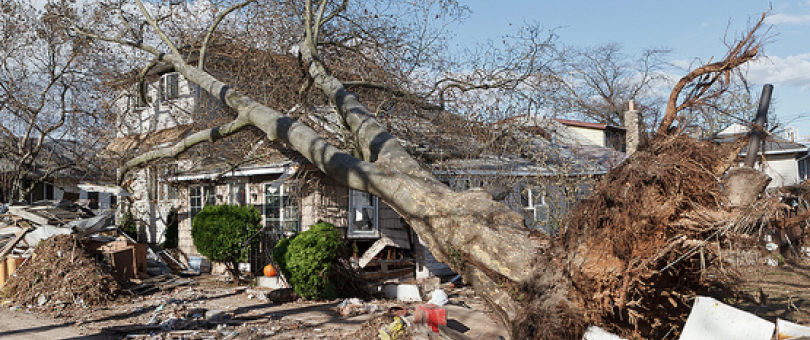 Same Day Storm Damage Restoration Response blog image