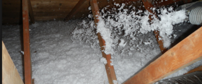 Professional Home Insulation blog image