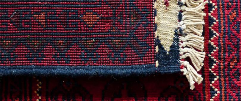 What Nobody Will Tell You About Carpet Cleaning Services? blog image