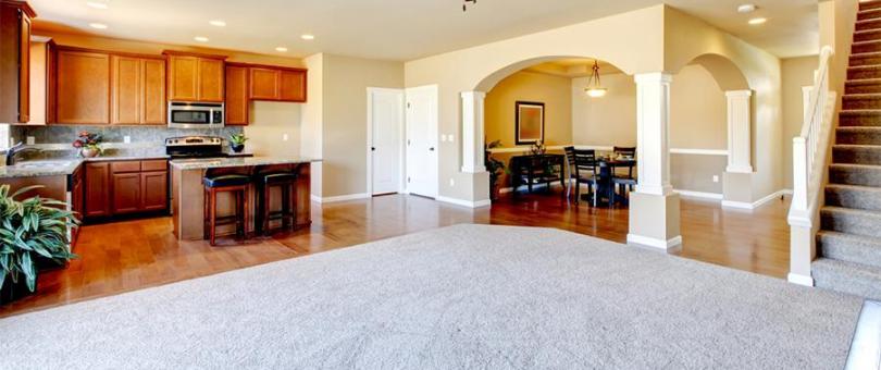 Ignoring These Carpet Cleaning Tasks Will Cost You A Fortune blog image