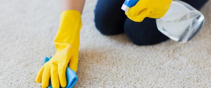 3 Carpet Cleaning Tips from the Experts blog image