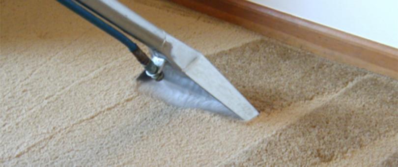 Carpet Cleaning Tips blog image