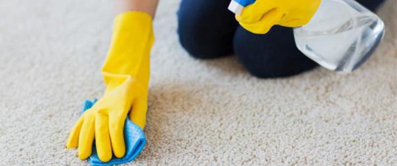 DIY Carpet Cleaning Solution Ideas and Spot Removal Guide blog image