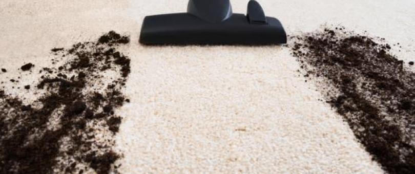Effective Tips on Carpet Cleaning blog image