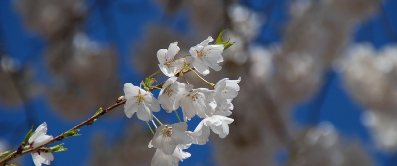 How To Deal With Spring Cleaning Junk And Make Money? blog image