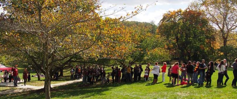 Professional Landscaping Company