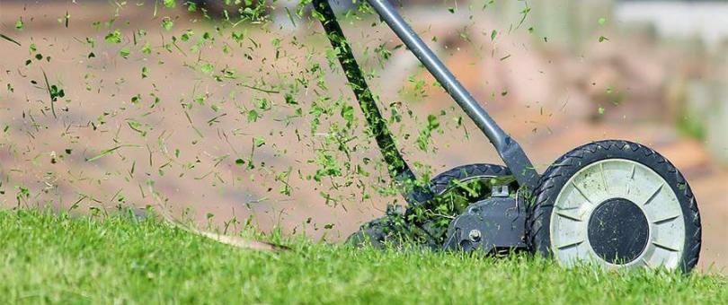 lawn care florida What Everybody Ought To Know About Lawn Care In Florida Florida Lawn Care Service