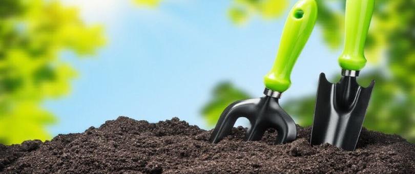 lawn care in spring Struggling to Get a Healthy and Lush Lawn Every Spring? Follow These 5 Quick & Simple Steps! lawn care in spring