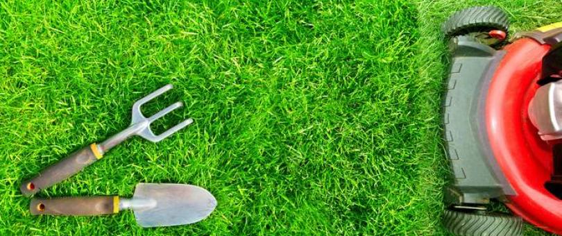 8 Must Know Lawn Care Tips For Winter blog image