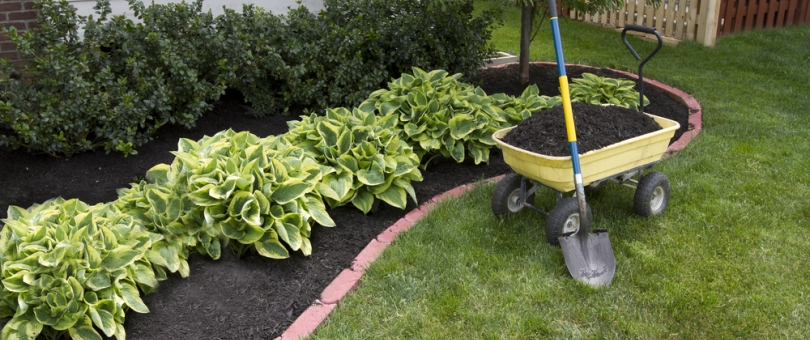lawn irrigation tips 9 Lawn Irrigation Tips You Must Know of lawn irrigation tips