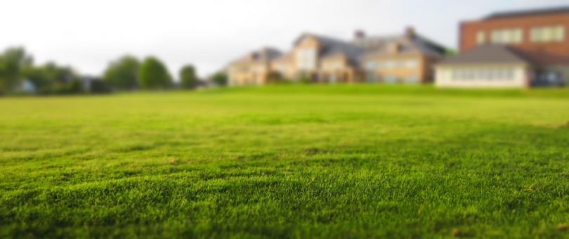lawn mowing faqs 1 Answering 8 Most Common FAQs about Lawn Mowing Lawn Mowing