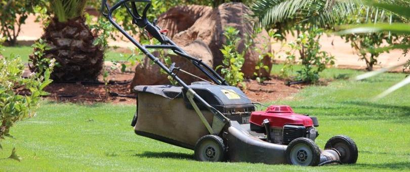 lawn mowing scars Is your Lawn Mowing Rewarding You With Scars? Read on to Know Why! Lawn mowing scars