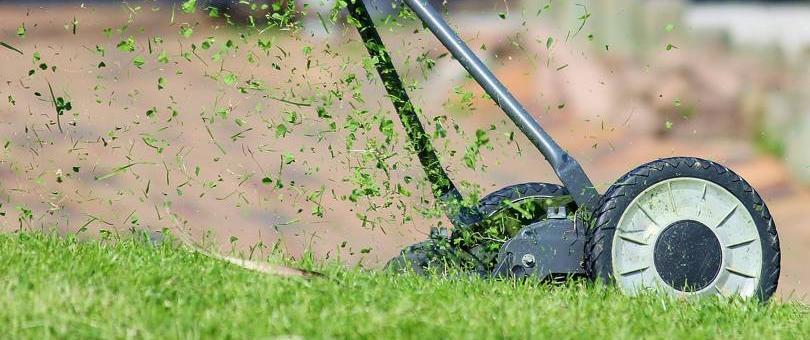 Professional Lawn Mowing Service