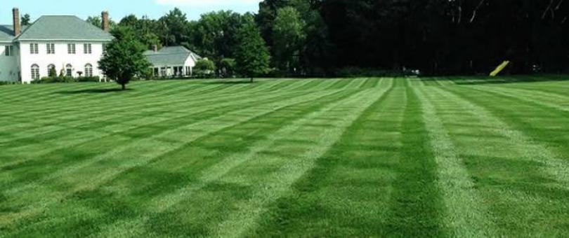lawn professionals Finding A Lawn Care Or Lawn Mowing Company lawn professionals