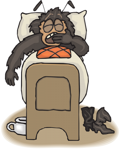 pest control in NJ - bed bugs pest control in NJ - bed bugs