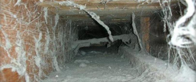 Professional Air Duct Cleaning blog image
