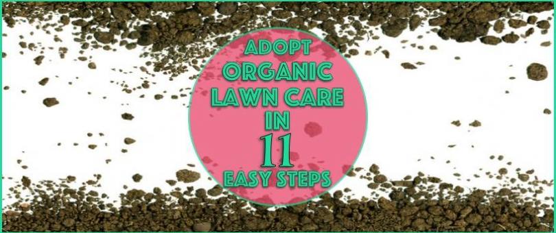 professional lawn care service 1 Adopt Organic Lawn Care in 11 Easy Steps Lawn Care Near Me