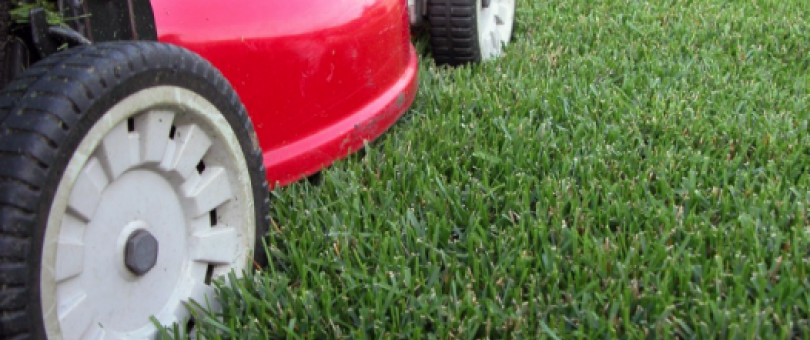 professional lawn mowing 1 Professional Lawn Mowing Advantages Local Lawn Mowing Companies