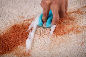 Carpet Stain Carpet Cleaning Carpet cleaning service near me