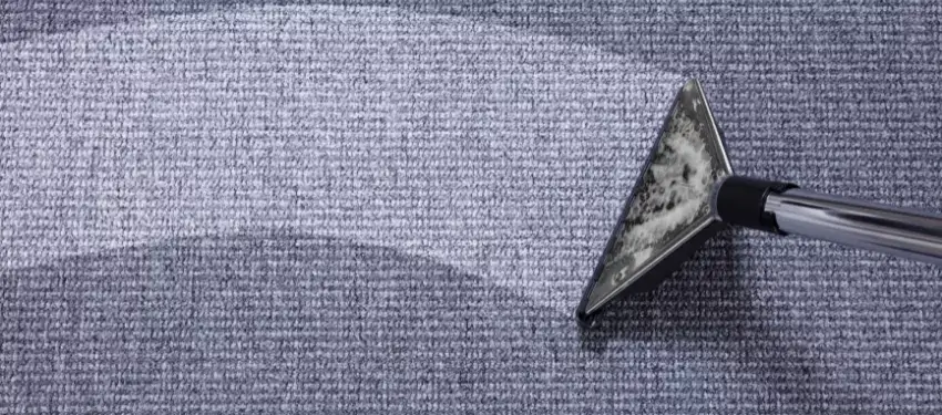 6 Reasons Why You Should Hire a Professional Carpet Cleaner blog image
