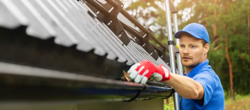 gutter cleaning sameday service