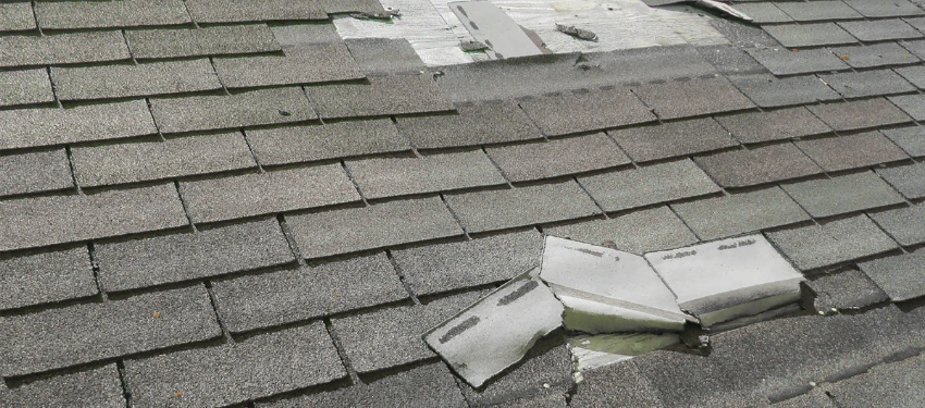 Roof damage Home Maintenance: 7 Possible Winter Damages to Check During Spring Roof damage