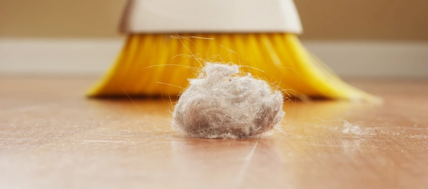 dusty home Is Your Dusty House Making You Sick? 8 Tips to Keep Your Home Dust-Free dusty home