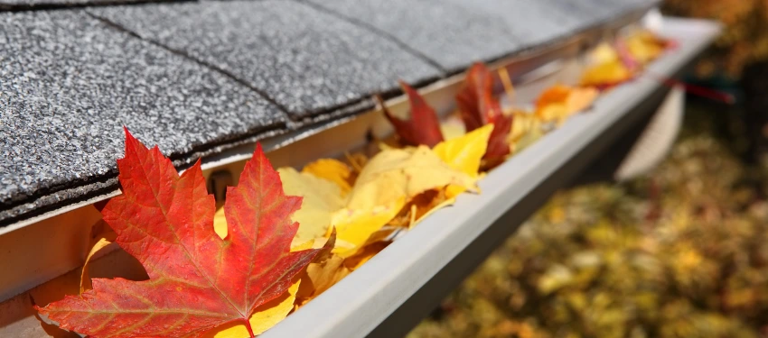 Ways to Prevent Your Gutters from Clogging Plus Other Gutter Maintenance Tips blog image