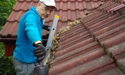 How Do Professionals Clean Gutters blog image
